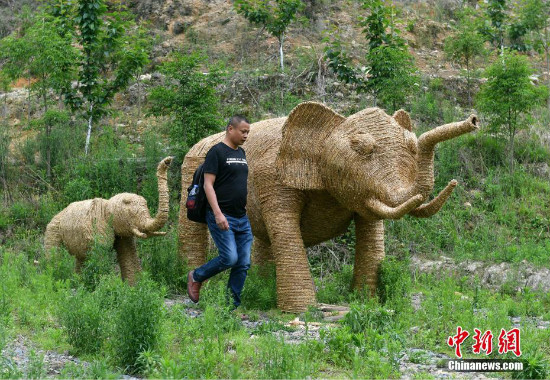 Pinakamalaking dragon na yari sa dayami, itinatanghal sa Fujian