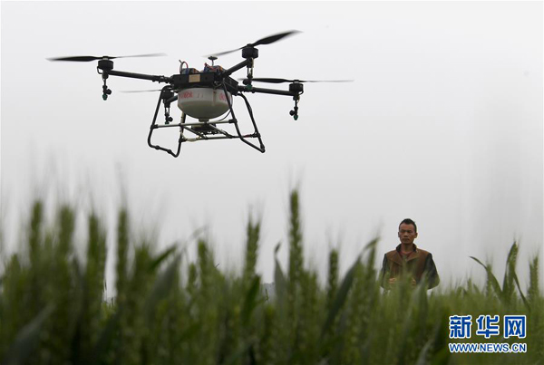 Drone Penyemprot Pestisida