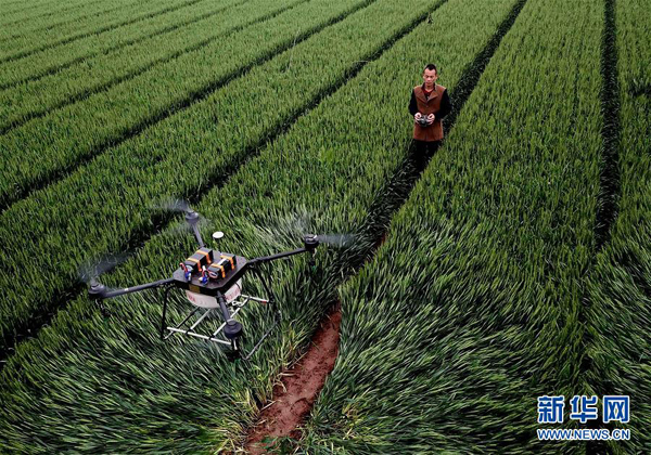 Drone Penyemprot Pestisida