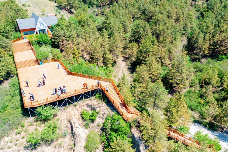 【万千气象看中国·北疆绿潮奔涌】 诗画青城,多了这抹亮眼的绿_fororder_北疆1