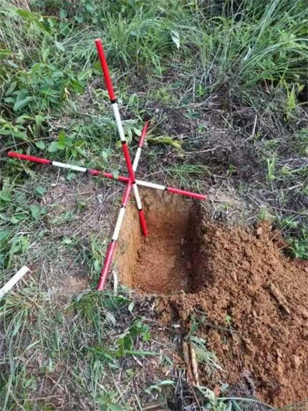 广西地灾监测台站建设项目开工 年内新建和改扩建自动化监测台站1704处_fororder_图片7