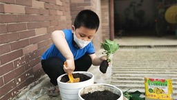 沈阳珠江五校开展“遇见种子、收获成长”科学种植项目化学习成果展示活动