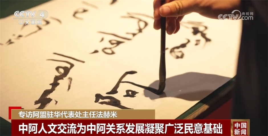 专访阿盟驻华代表处主任法赫米 一起听一听他如何评价中阿关系