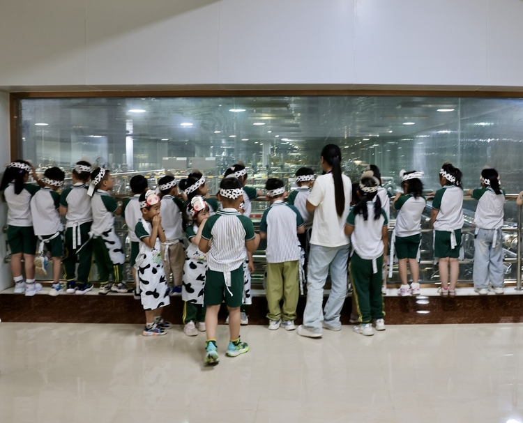 保定市满城区:夏日好时光 一起“趣”研学_fororder_幼儿们参观透明工厂 摄影 郝磊晶