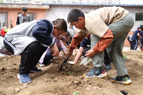 沈阳市航空实验小学开展学农实践活动_fororder_教育航空2