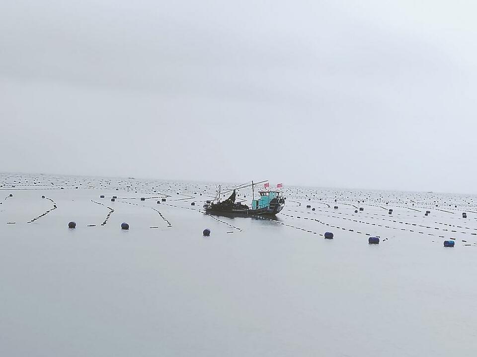 人海和谐的闽人范式_fororder_8d50b1bf-948c-4883-981f-868852f75f7e