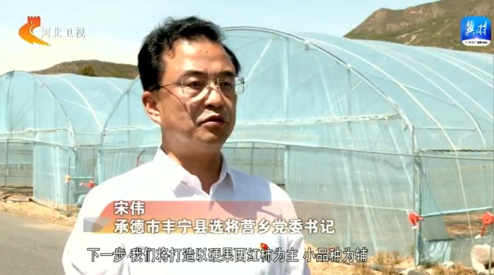 河北:瓜果飘香产业兴 乡村振兴奔头足