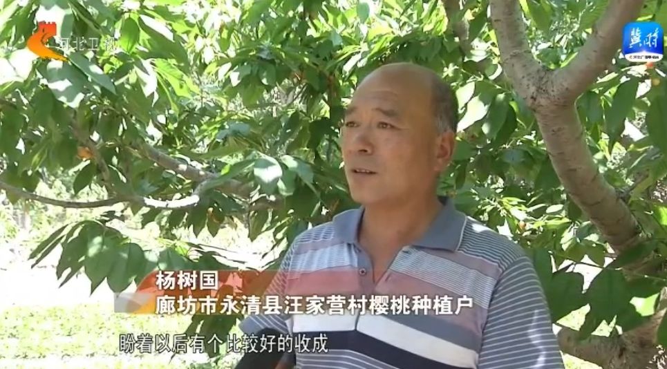 河北:瓜果飘香产业兴 乡村振兴奔头足