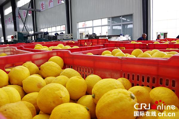 图片默认标题_fororder_农产品--展示