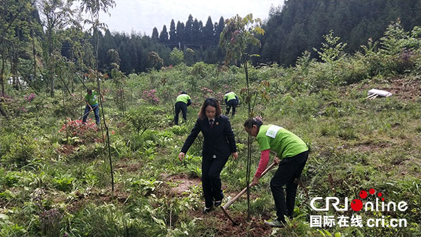 图片默认标题_fororder_2