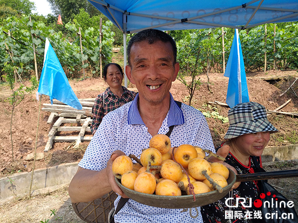 图片默认标题_fororder_果农喜获丰收--摄影张勇