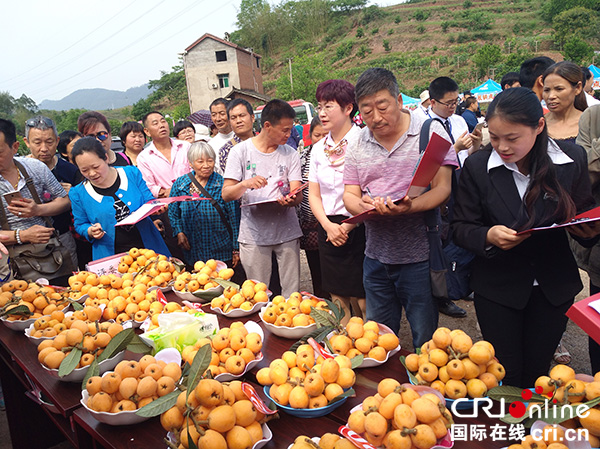 图片默认标题_fororder_“枇杷王”评选现场--摄影张勇