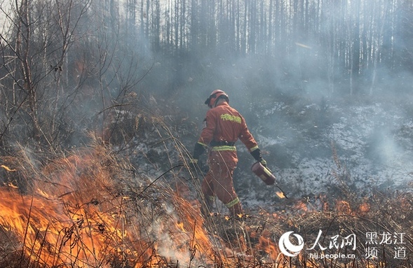 哈尔滨森林消防开展秋季计划烧除 清除可燃物载量主动预防火灾
