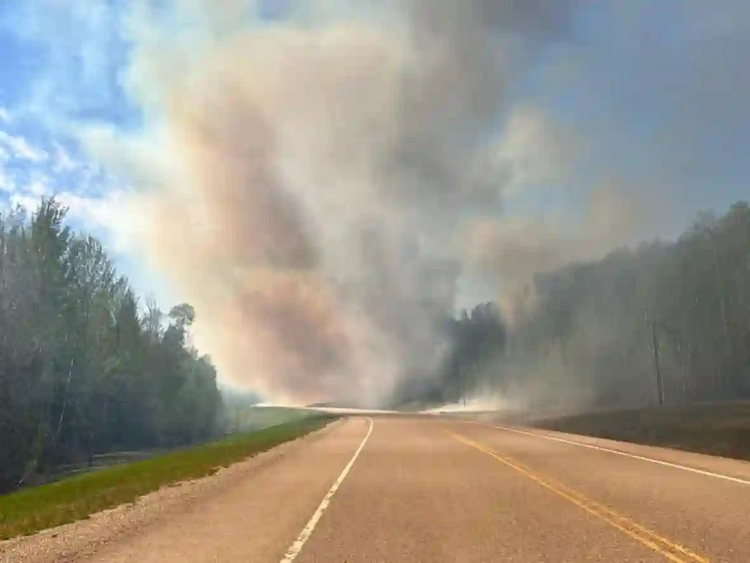 加拿大西部野火致纳尔逊堡超3000住户疏散