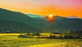 广东乡村产业振兴迈上新起点 广东乡村产业振兴迈上新起点
