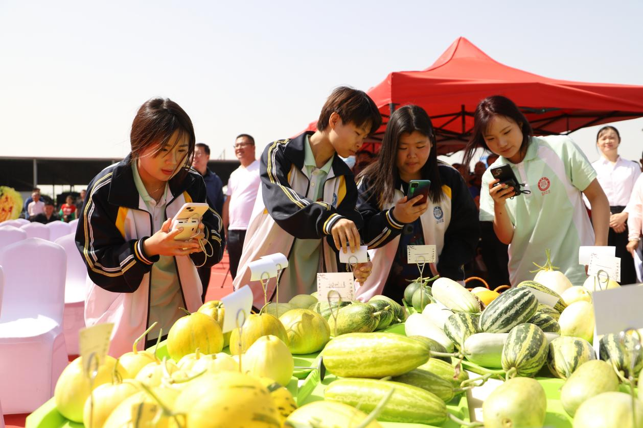 河北青县举办第一届甜瓜产销对接交流会_fororder_图片 3