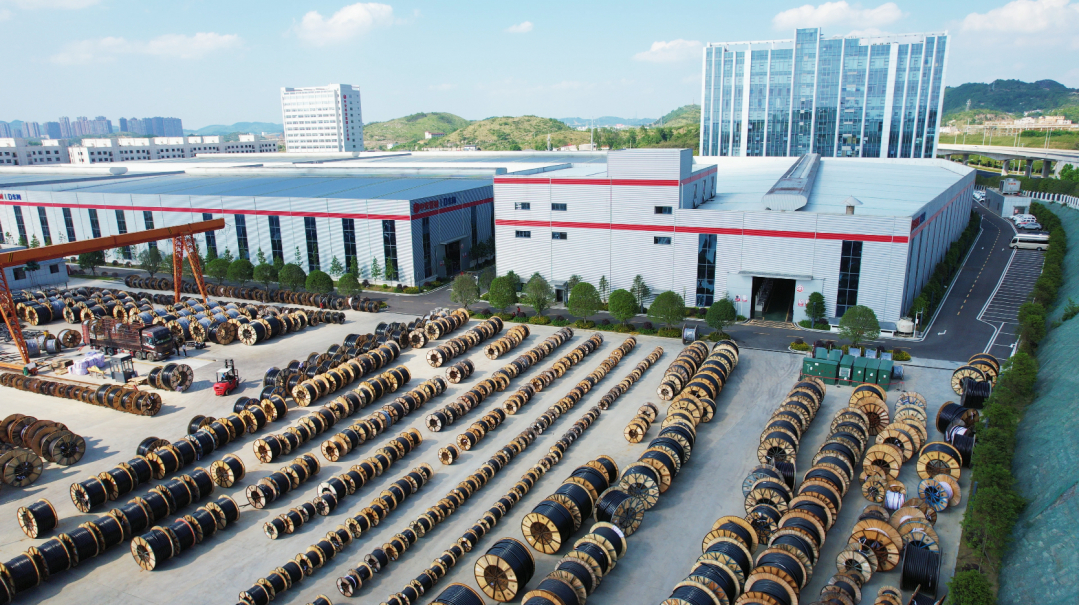 经济向好的产业动能不断增强|贵州大学经济学院教授罗蓉谈“开门红”