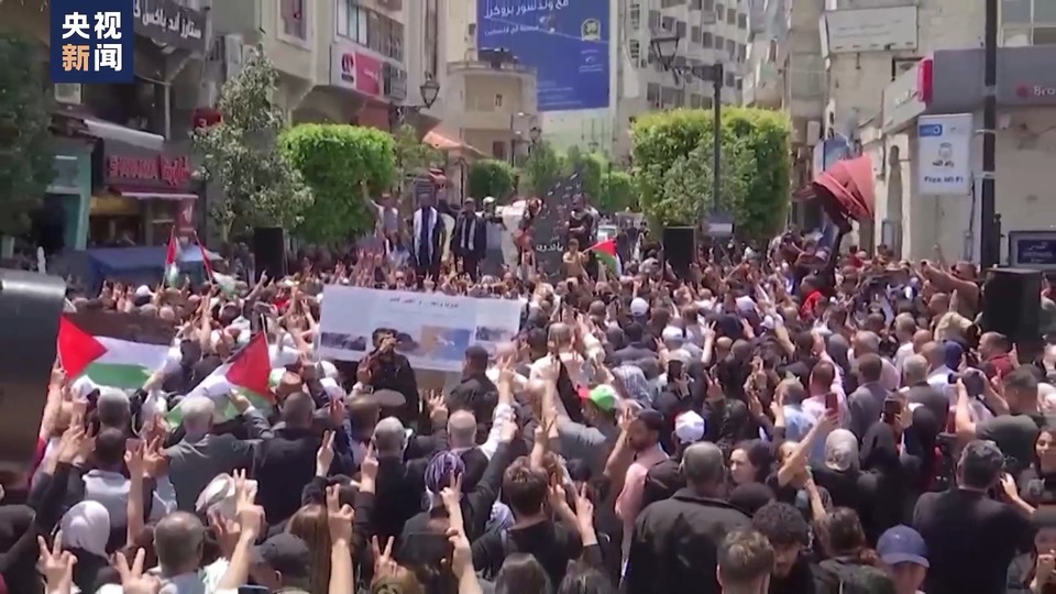 巴勒斯坦第76个“灾难日” 巴民众游行集会：不会忘记历史(History)
