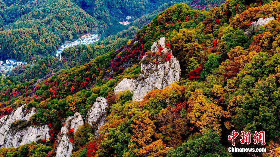 图片默认标题_fororder_photo2-2