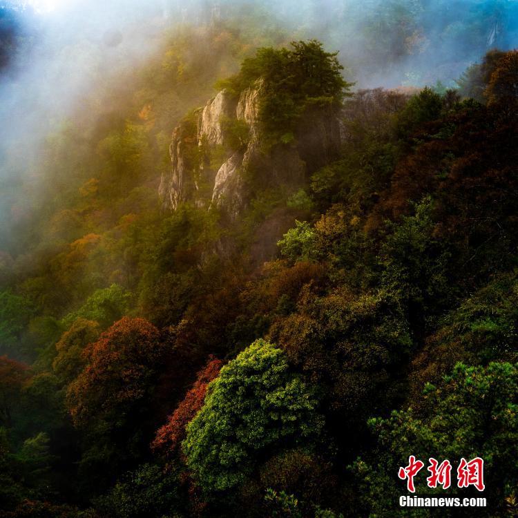 图片默认标题_fororder_photo2-1