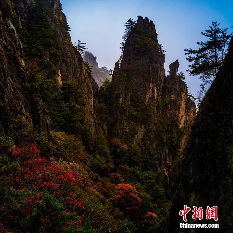 图片默认标题_fororder_photo2-3