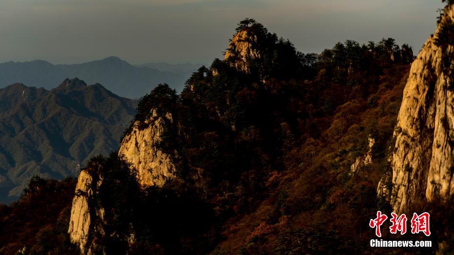 图片默认标题_fororder_photo2-4