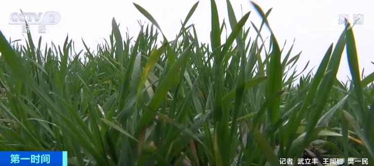 【央视网】农业农村部发布消息 | 我国初步建成国家农业观测监测