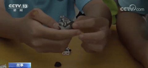 【央视新闻】为了“一个都不能少”，四个班129名同学做了一个决