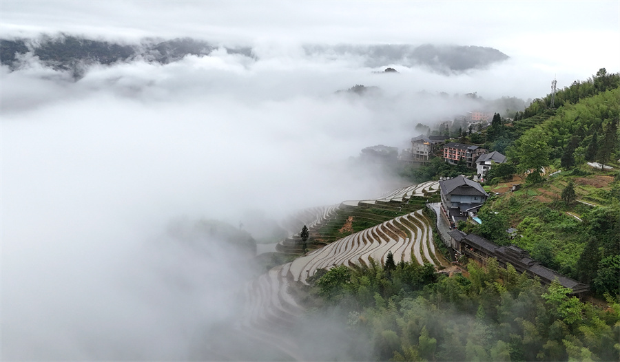 广西龙胜:初夏梯田 景色如画_fororder_图片2