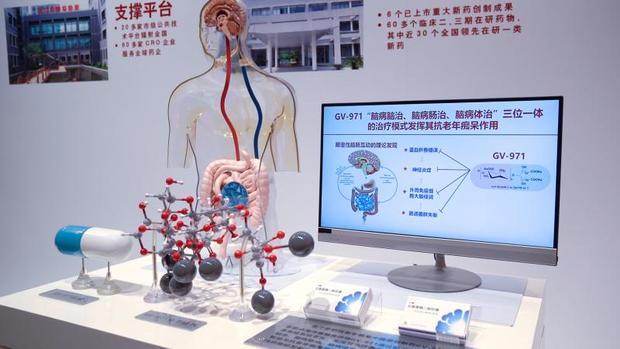 回访总书记考察上海的地方：这一年，您的期待正在变为现实