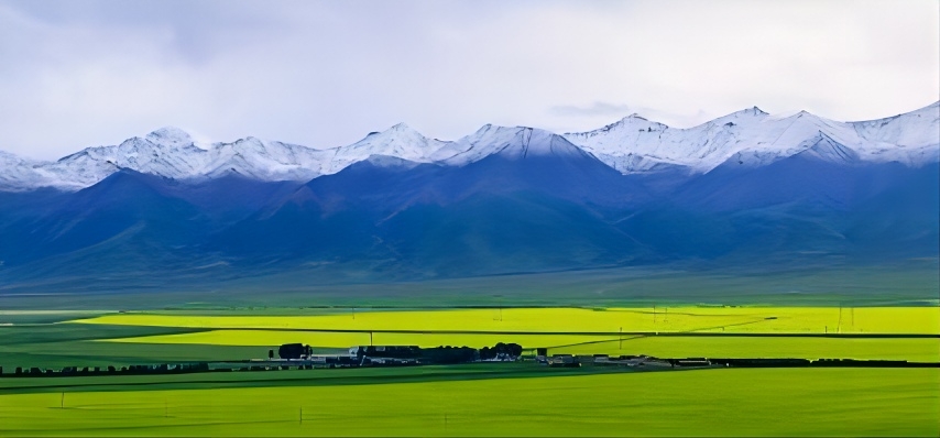  The Transport Publicity Committee of the China Guangzhou Federation launched the large-scale live broadcast series of activities themed "mountains, rivers and beautiful Qinghai" in six provinces and cities of China · Qingdao aid in 2024_forder_10