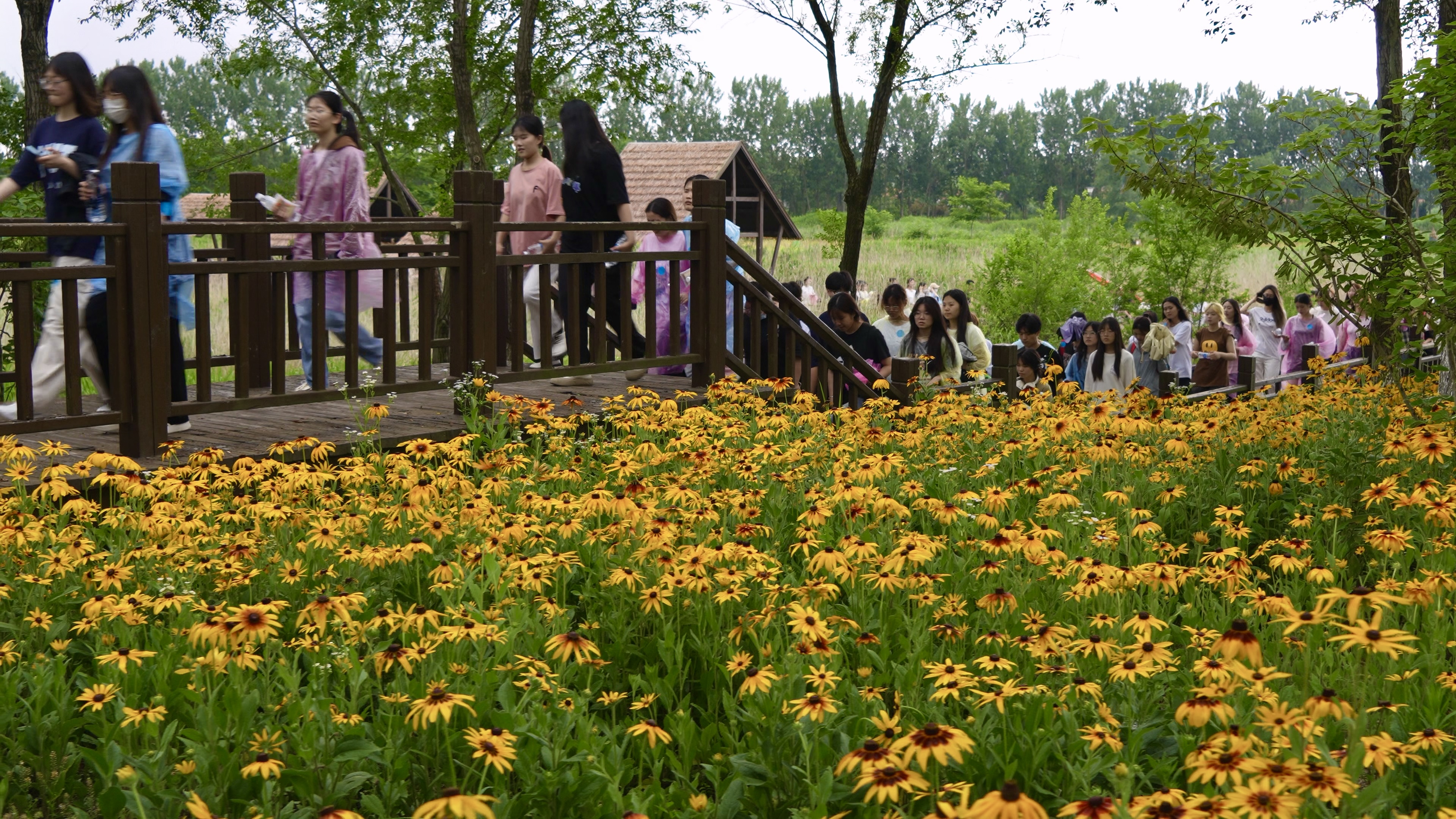 山东威海:万人健步行 青春南海“动”起来 山东威海:万人健步行 青春南海“动”起来_fororder_2939199ec32705931135c061217ed00e