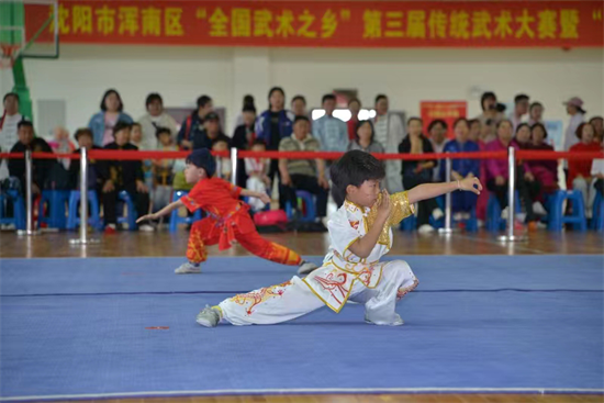 沈阳市浑南区举办“全国武术之乡”第三届传统武术大赛暨“武术进校园”活动_fororder_武术1