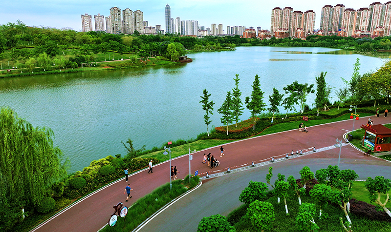 组图|四川仁寿:城市湿地公园美如画_fororder_5月20日,仁寿县城市湿地公园,傍晚的公园游人如织。010