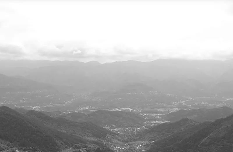 新华网：一张小税票，见证三代人变迁