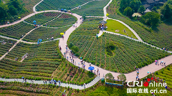 图片默认标题_fororder_游人在生态园赏花游玩，欢度“五、一”(1)