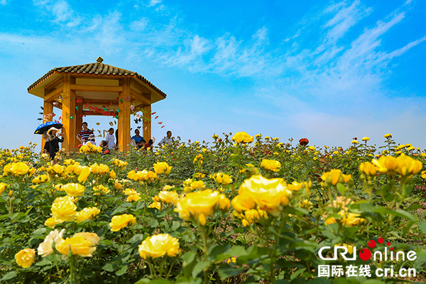 图片默认标题_fororder_游人在生态园赏花游玩，欢度“五、一”-(3)