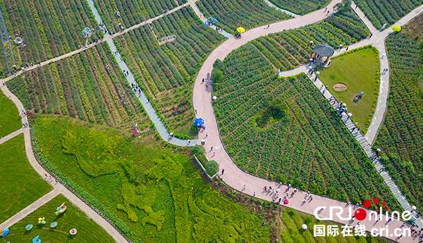 图片默认标题_fororder_游人在生态园赏花游玩，欢度“五、一”-(2)