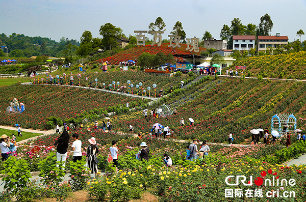 图片默认标题_fororder_游人在生态园赏花游玩，欢度“五、一”-(4)
