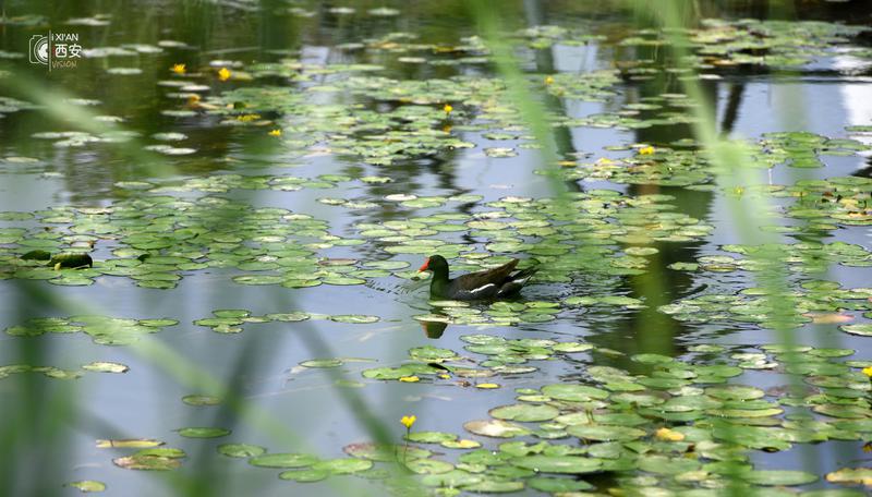 来中亚公园 感受丝路风情
