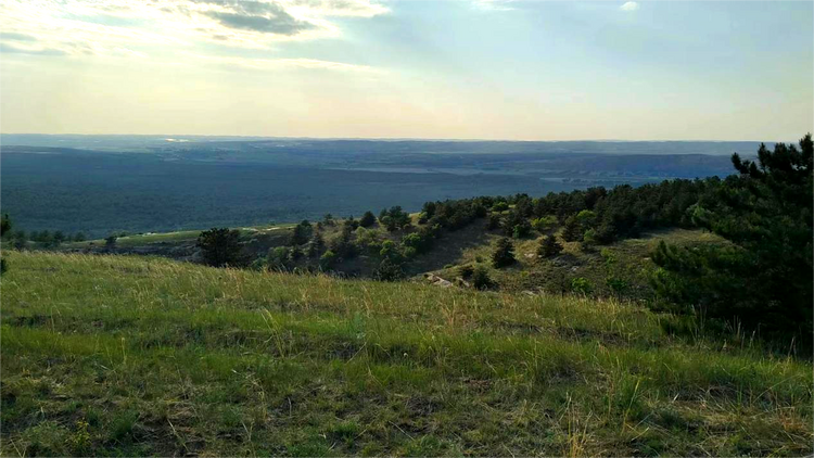 【万千气象看中国·北疆绿潮奔涌】 诗画青城,多了这抹亮眼的绿_fororder_北疆2