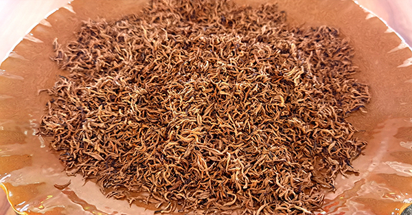 访长江首城 看宜路精彩丨优化营商环境 宜宾筠连县茶叶“超级工厂”预计6月底建成投产_fororder_醒世红茶-摄影-宋婷