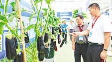 2024武汉种业博览会开幕  3000多个“农业芯片”集中亮相