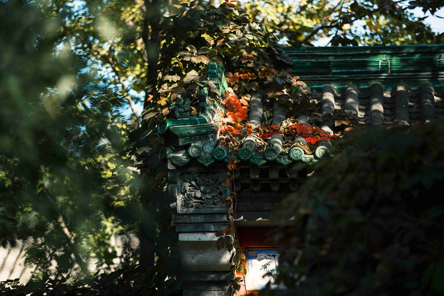 图片默认标题_fororder_2