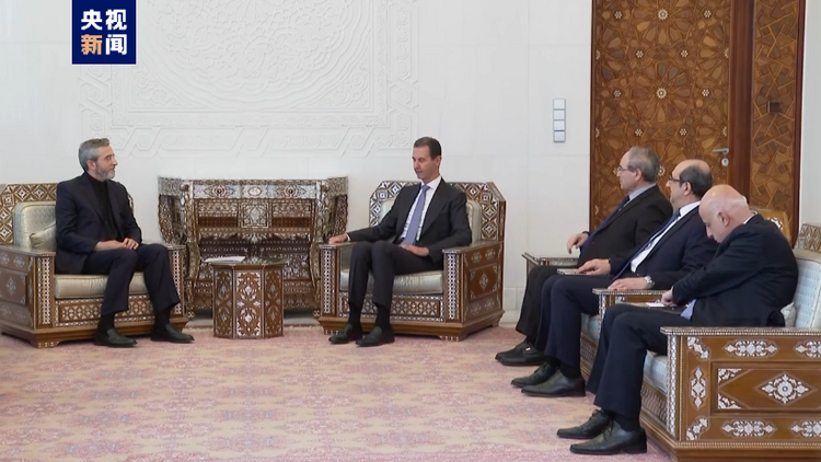 伊朗代庖外长访叙商议加沙体面 叙总统夸张约抗以色列占领