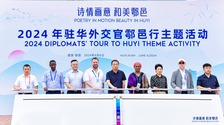  "Poetic and Picturesque and Beautiful Towns - Theme Activity of Diplomats' Visit to Towns in China in 2024" was successfully held