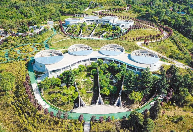 “七仔”的家_fororder_图片14