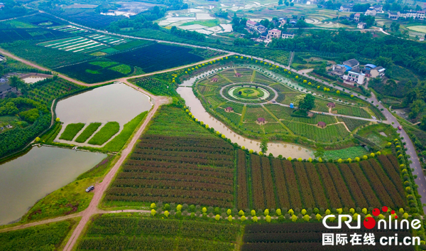 图片默认标题_fororder_禄市镇凉水井村航拍的利用滩涂地建起的湿地公园