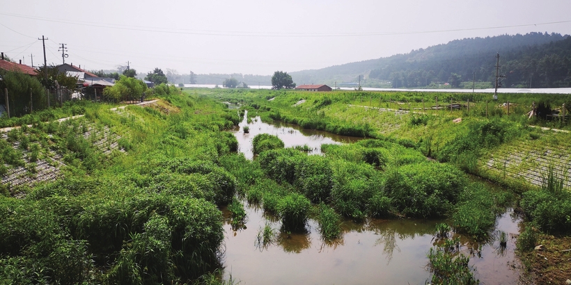 吉林省四平市：从“劣V类水质”到“入围示范城市”