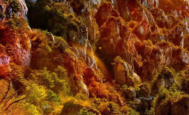 洛阳首发,登上“国家名片”!更有… 洛阳首发,登上“国家名片”!更有…